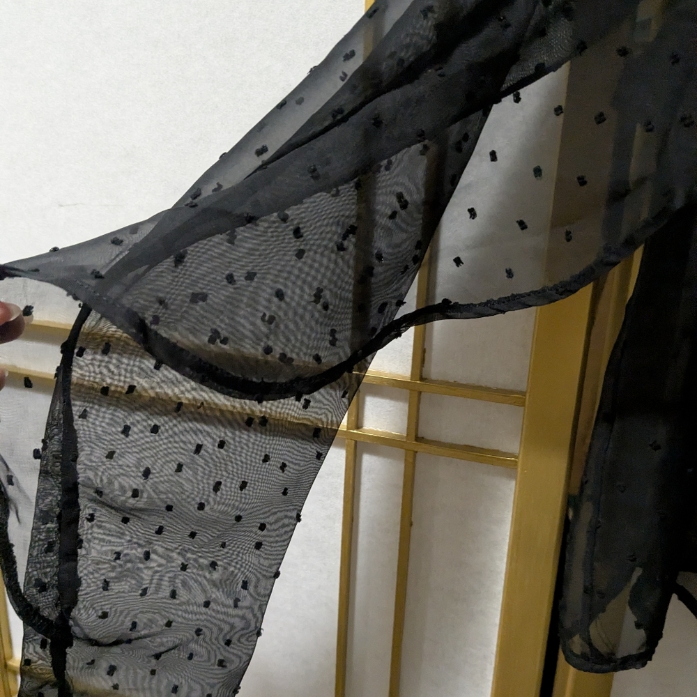 Black Sheer Ruffle Top - Picture 3 of 7